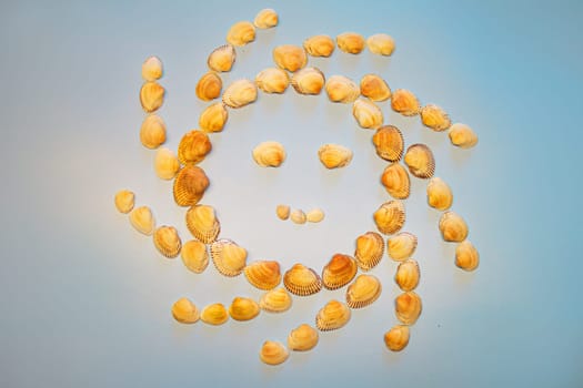 Smiling sun made of seashells on blue background. High quality photo