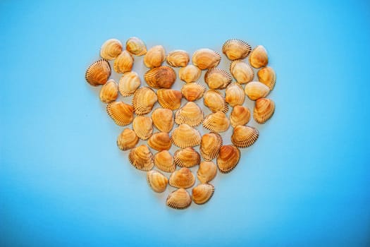 Seashell orange Heart on a blue background. High quality photo