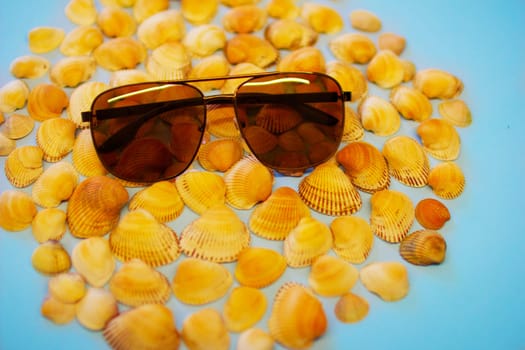 Sunglasses lie on seashells. High quality photo