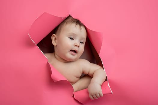 Cute Caucasian newborn baby boy peeks out of a hole in a paper pink background