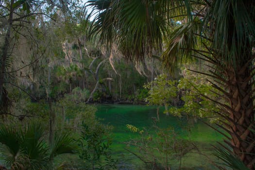 Views at Blue Springs State Park Near Orlando, Florida