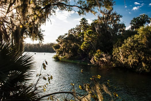 Views at Blue Springs State Park Near Orlando, Florida