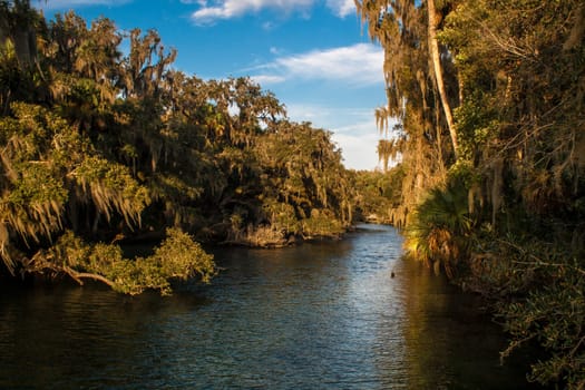 Views at Blue Springs State Park Near Orlando, Florida