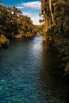 Views at Blue Springs State Park Near Orlando, Florida