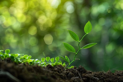 A vibrant green plant with leaves reaching for the sky, symbolizing the growing trend of sustainable investment, representing green finances and ecological practices.