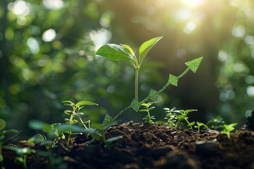 A green arrow pointing upwards, representing the growth of sustainable investment, with green plants in the foreground.