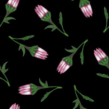 Chrysanthemum Flower Seamless Pattern. Hand Drawn Floral Digital Paper on Black Background.