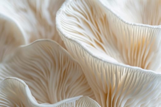 Close up view of a mushroom growing on the forest floor in a natural setting