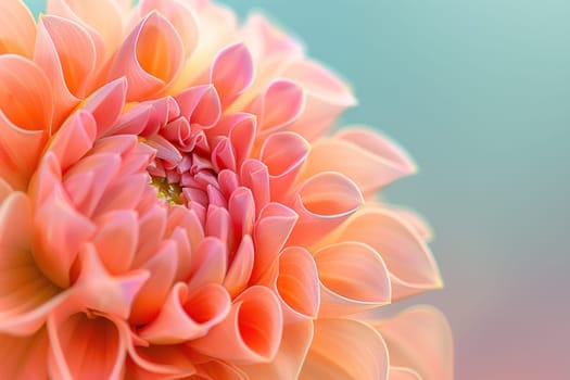 Close up of vibrant orange flower on soft blue background with beautiful soft focus effect