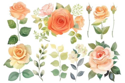 Watercolor roses set vibrant illustrations of beautiful flowers for wedding invitations, art prints, and more