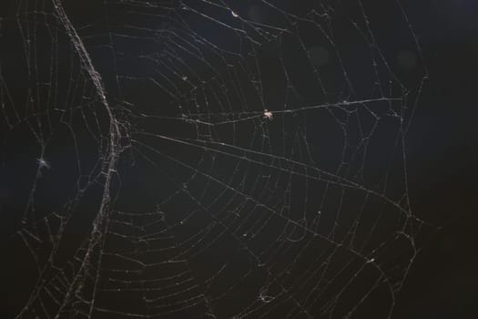 Spider web on the dock pier harbor sailing boat in water. sunlight marina in Finland