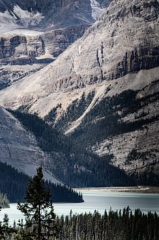 Scenic Hector Lake at Banff National Parkway