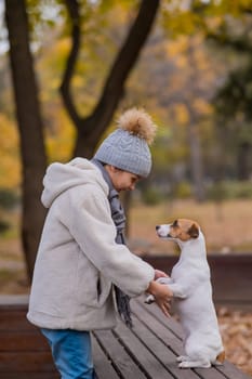 Caucasian girl holding a dog by the paws for a walk in the autumn park. Jack Russell Terrier stands on its hind legs on a bench