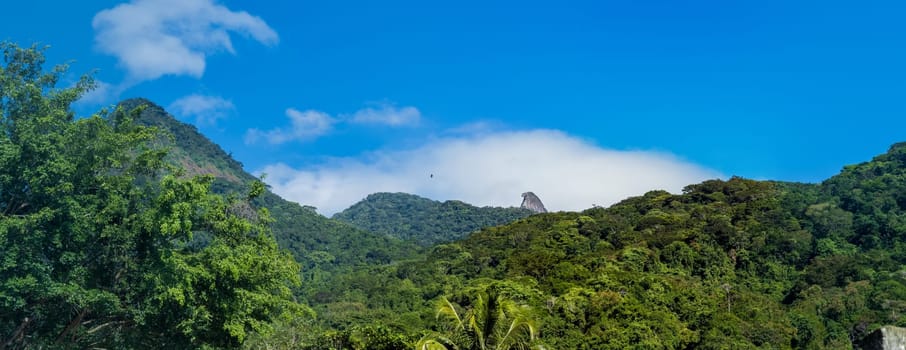 A wide view of a lively tropical rainforest canopy under a clear blue sky and Papagayo peak in the background