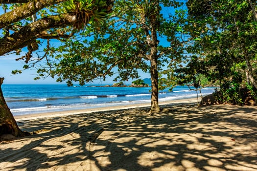 Bonete tropical beach on the island of Ilhabela seen through the trees and vegetation