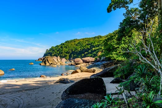 Forest,  hill, rocks and sea of Indaiauba beach in Ilhabela island coast os Sao Paulo