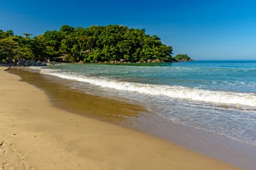 Stunning Castelhanos beach in Ilhabela surrounded by forest and sea