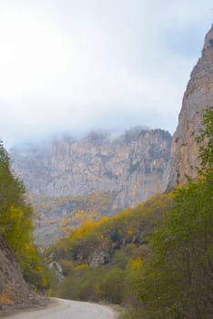 Mountain scenic winding road. The yellow-green forested hills in the background are covered in fog