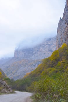 Mountain scenic winding road. The yellow-green forested hills in the background are covered in fog