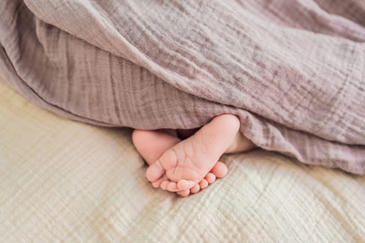 The baby is sleeping peacefully in his cozy nest. Newborn photo session captures the serene innocence and warmth of early moments.