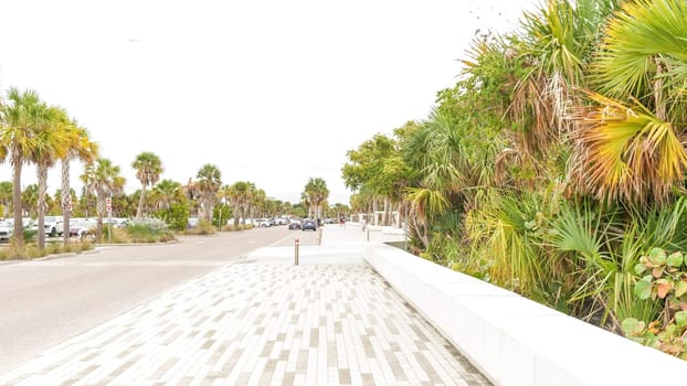 The parks paved pathway is perfect for strolling and enjoying the tropical scenery. Lined with palm trees, it offers shade and a relaxing atmosphere for pedestrians and cyclists.