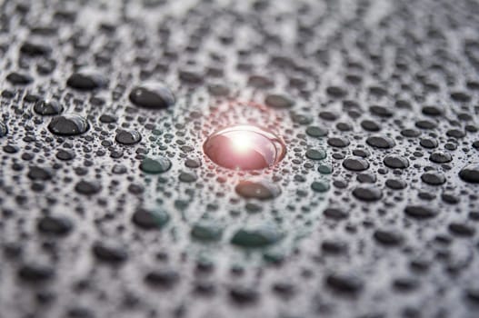 Close up of shining water droplets on dark background.
