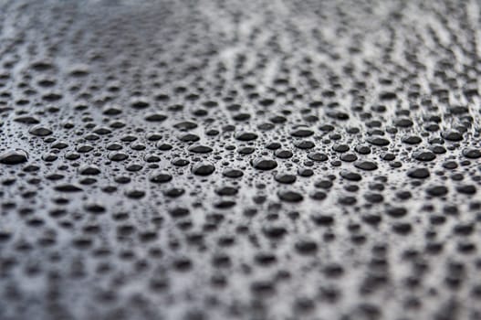 Close up of water droplets on dark background