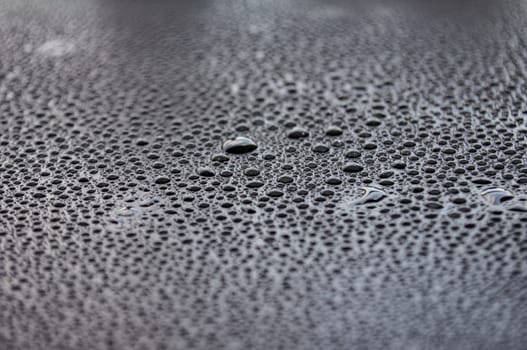 Side view of water droplets on dark background.