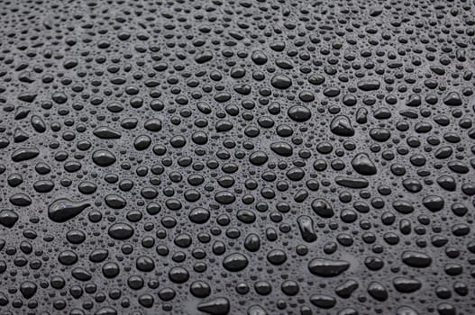 Water droplets suitable for wallpaper or design.