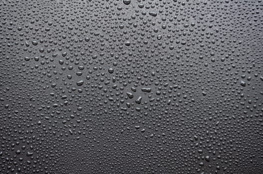 Top view of water droplets suitable for wallpaper.