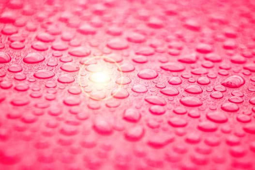 Close up of shining water droplets on red or pink background.