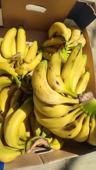 yellow bananas fruit in a cardboard box packaging, food dessert sweets. High quality photo