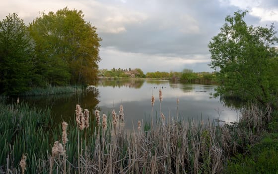 Panoramic image of nature reservat Thuerer meadows close to Mendig during sunrise, Eifel, Rhineland-Palatinate, Germany