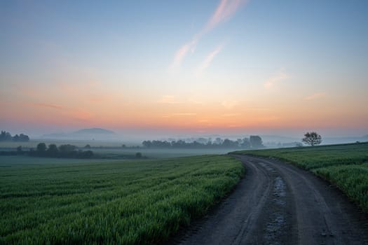 Panoramic image of nature reservat Thuerer meadows close to Mendig during sunrise, Eifel, Rhineland-Palatinate, Germany