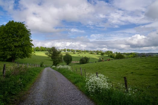 Panoramic landscape close to Monschau, Eifel, North Rhine Westphalia, Germany