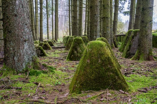 Dragon teeth, relicts of Second World War on Western Germany, Westwall close to Hellenthal, Eifel, North Rhine Westphalia, Germany