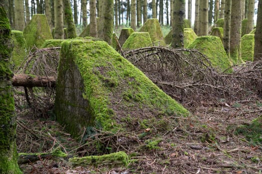 Dragon teeth, relicts of Second World War on Western Germany, Westwall close to Hellenthal, Eifel, North Rhine Westphalia, Germany