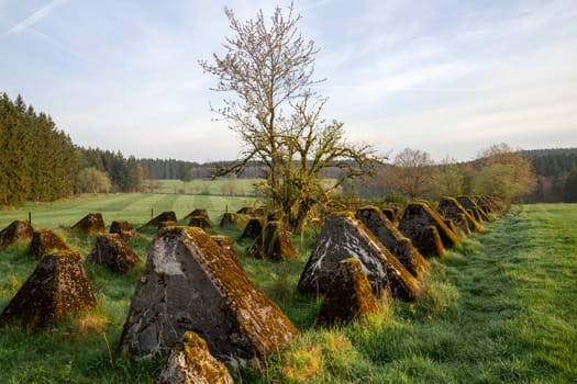 Dragon teeth, relicts of Second World War on Western Germany, Westwall close to Hellenthal, Eifel, North Rhine Westphalia, Germany