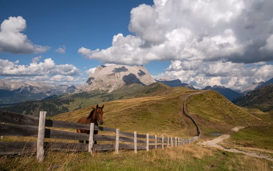 Panoramic image of landscape in South Tirol with famous Schlern mountain, Italy, Europe