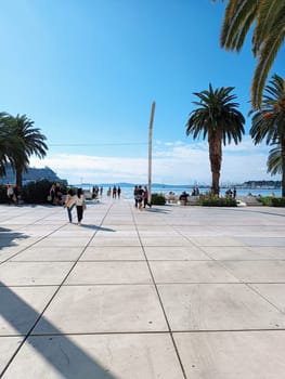 Split Croatia port with palmas and people sea waterline horizon blue. High quality photo. Mobile vertical photo. Summer vacation vibe. Slow pace, relaxation. Palma shadows. People tourists walking