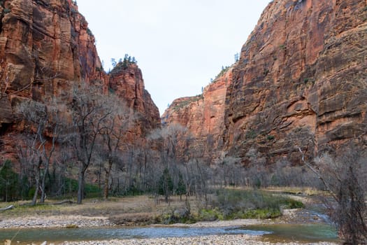 Stunning landscape of the serene Virgin River in Zion Canyon with the famous Narrows in the background. Showcasing the majestic rock formations during winter - Zion National Park, Utah, USA