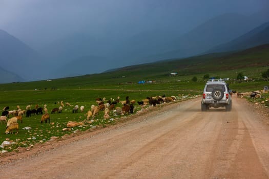 SUV driving on dirt road through scenic countryside with grazing sheep and rural homes in the background in Semenovskoye gorge, Kyrgyzstan