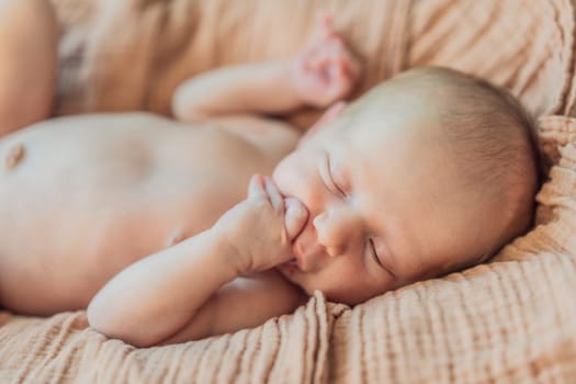 The baby is sleeping peacefully in his cozy nest. Newborn photo session captures the serene innocence and warmth of early moments.