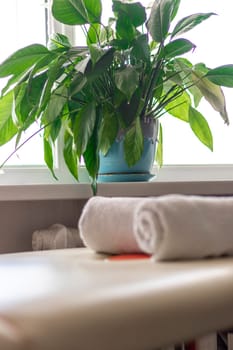 Close up shot of the white towels rolled in the massage couch.