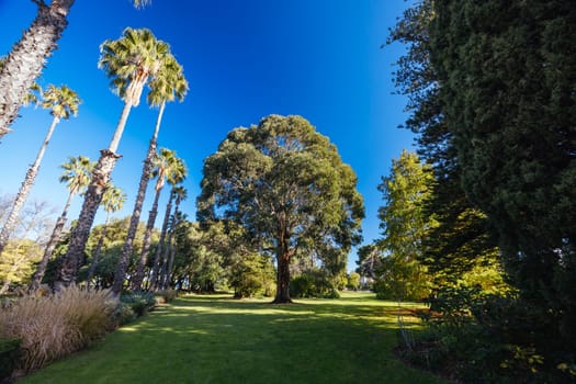 Williamstown Botanic Gardens on a cool winter's afternoon in central Williamstown in Melbourne, Victoria, Australia