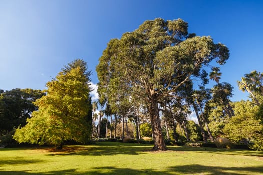 Williamstown Botanic Gardens on a cool winter's afternoon in central Williamstown in Melbourne, Victoria, Australia