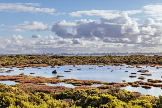 Jawbone Marine Sanctuary on a winter's day in Williamstown, Melbourne, Victoria, Australia