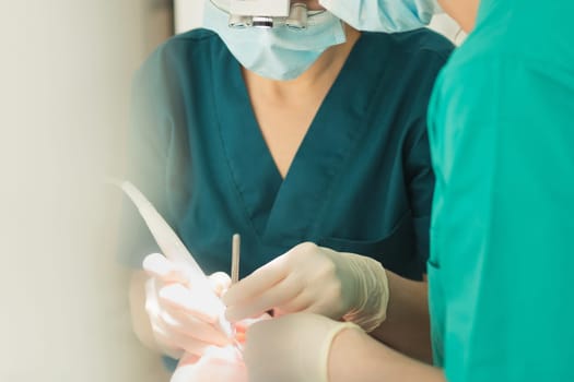 Dentist in gloves holding his tools during patient examination