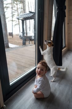 Cute baby boy and Jack Russell terrier dog looking through the patio window. Vertical photo