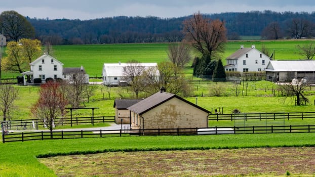 A Serene Rural Landscape Features Several White Farmhouses Surrounded By Green Pastures And Fenced Fields, With Bare Trees Scattered Throughout, Nestled Against A Backdrop Of Distant Forested Hills Under A Cloudy Sky.
